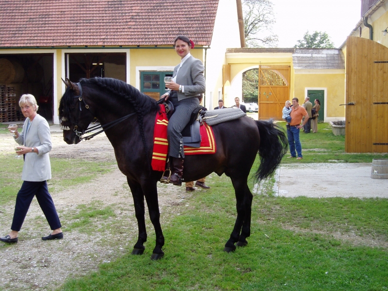 Lilienhof 270805 036